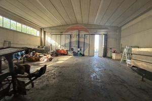 Capannone Industriale - Acquaviva delle Fonti