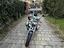 Immagine 5