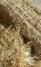 Ballette di fieno euro 3