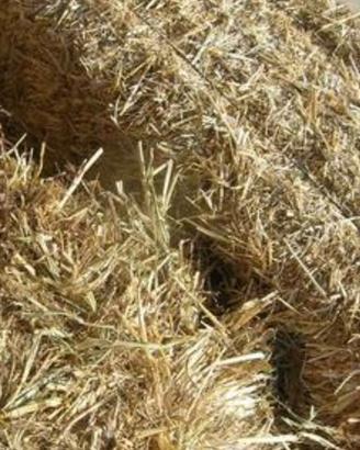 Ballette di fieno euro 3