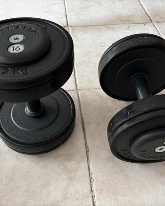 Copoia manubri panatta 16 kg
