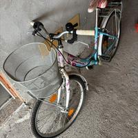 Bicicletta da Ragazza