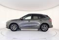 FORD KUGA 2.0 Ecoblue Diesel st line 2wd 120cv aut