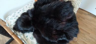Pelliccia volpe nera