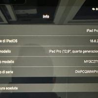 Ipad Pro  12.9 - inch ( 4 generazione ) Wi-fi +cel