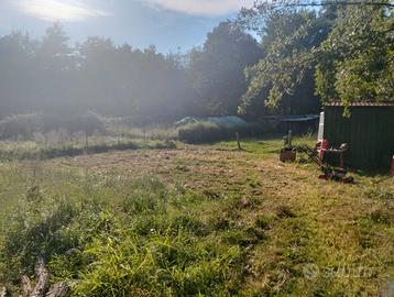 Terreno agricolo