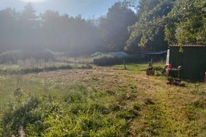 Terreno agricolo