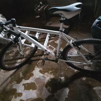 Mountain bike Bottecchia