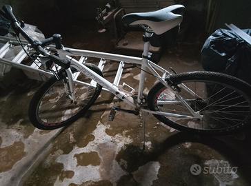 Mountain bike Bottecchia