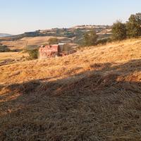Mietitrebbia Laverda
