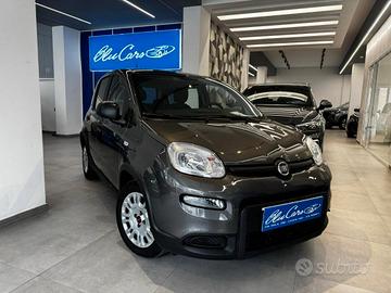 Fiat Panda III 1.0 firefly hybrid City Life s&s 70