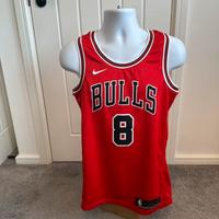 Chicago Bulls Icon Edition Lavine 8