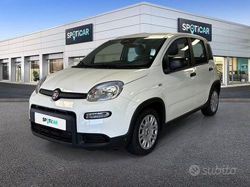 FIAT Panda 1.0 FireFly 70cv S&S Hybrid Pandina