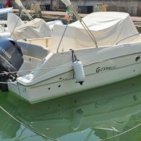 Capelli Cap 25 WA (2021) 1x250 Yamaha