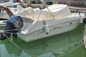 Capelli Cap 25 WA (2021) 1x250 Yamaha