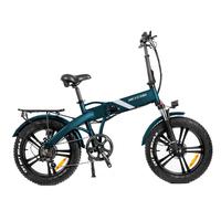 Bici Elettrica 250W
