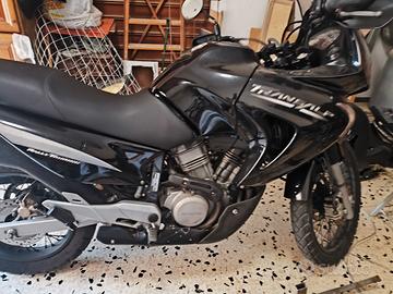 HONDA TRANSALP 650  come da Vetrina