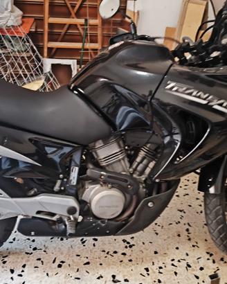HONDA TRANSALP 650  come da Vetrina