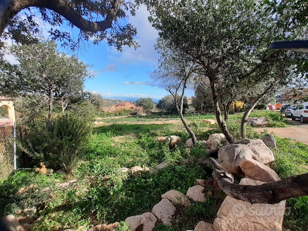 POGGIO DEI PINI TERRENO EDIFICABILE 1400 MQ - Vista 3
