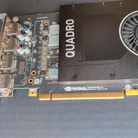 scheda video Nvidia Quadro P2000