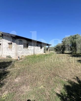 Capannone Industriale Cabras [Cod. rif 3319311VCG]