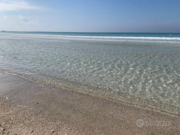 Casetta del glicine con clima a baia verde