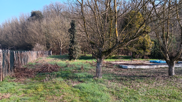 Terreno agricolo pianeggiante