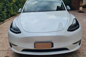 TESLA Model Y performance- 2023