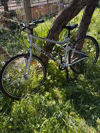 BICICLETTA MOUNTAINBIKE
