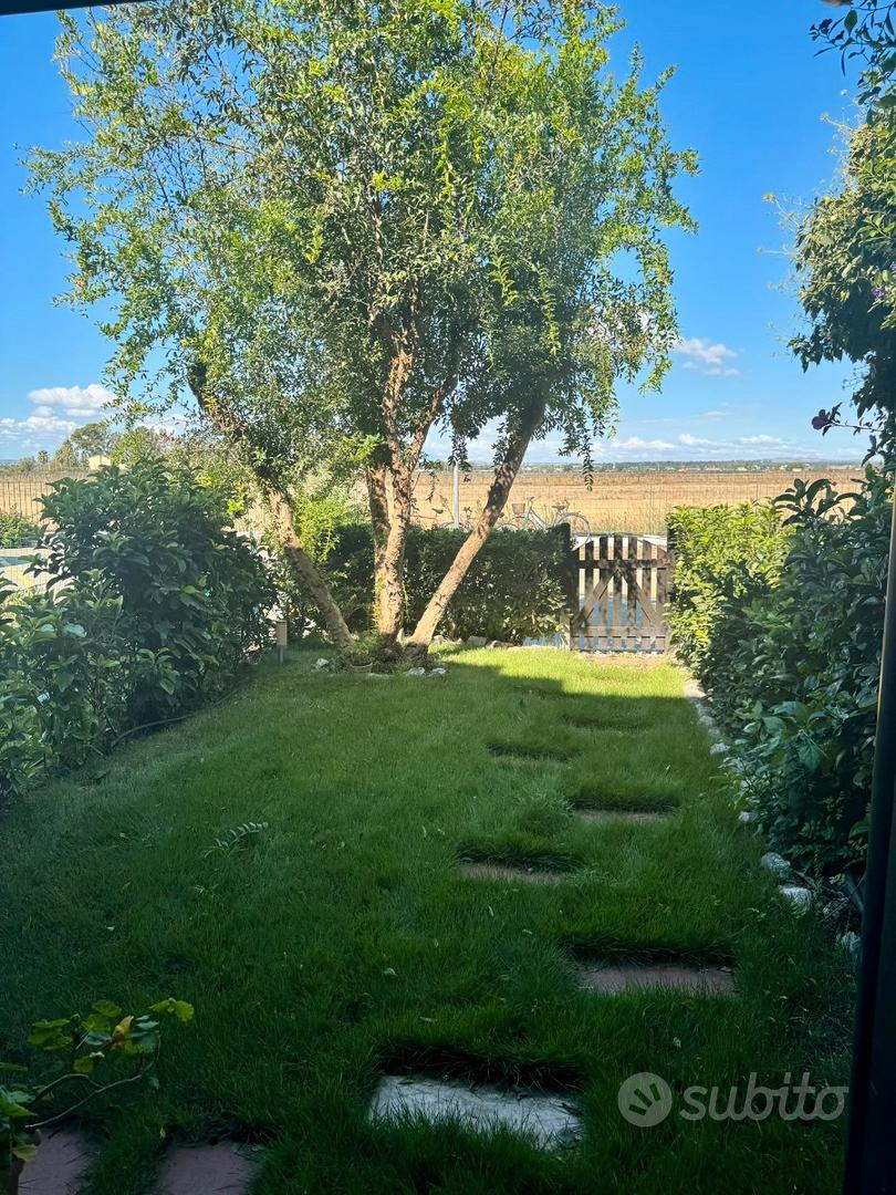 Appartamento – Pisticci, Matera - Vista 3