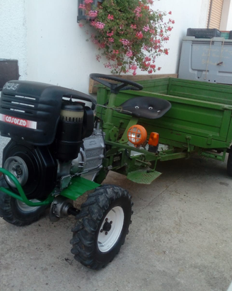 Marca trattorino Casorzo 4X4 Cv 14