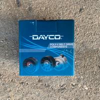 Tendicinghia Dayco APV1078