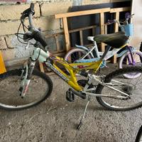 Bicicletta (marca Shockwave SX)