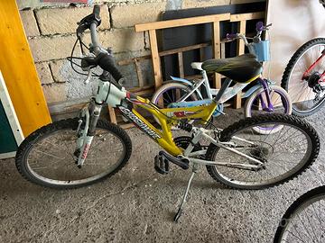 Bicicletta (marca Shockwave SX)