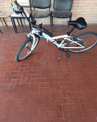 Bicicletta Ragazzo
