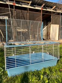 Gabbia grande per conglio roditori cuccioli