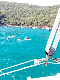 Catamarano a vela nel Golfo dei Poeti-day cruise