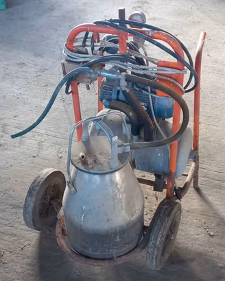 Mungitrice 220V