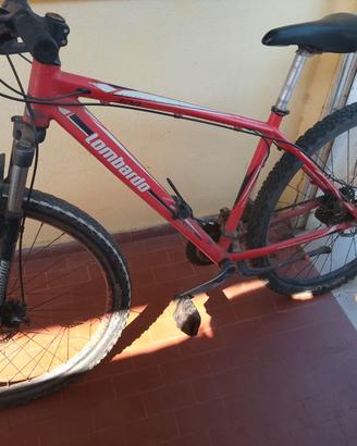 Mountain bike