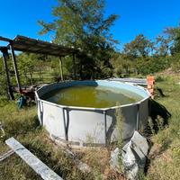 Piscina rotonda best way
