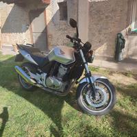 Honda CBF 500 - 2004