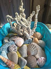 decorazioni acquario e ghiaia