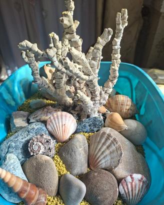 decorazioni acquario e ghiaia