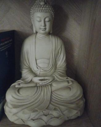 Buddha in resina