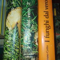 I funghi dal vero 3 v. Bruno Cetto Saturnia Trento