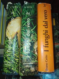 I funghi dal vero 3 v. Bruno Cetto Saturnia Trento