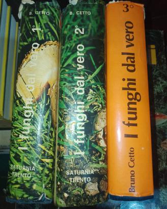 I funghi dal vero 3 v. Bruno Cetto Saturnia Trento
