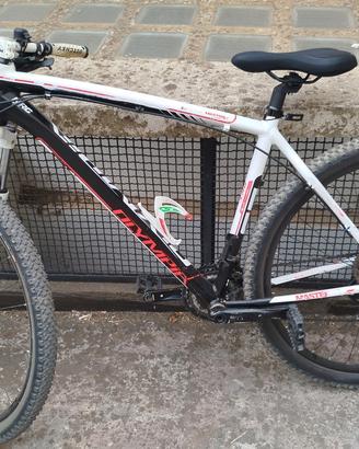 MTB Olimpia tg.L