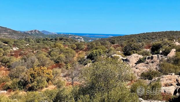 Vicino Golfo di Marinella