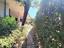 Immagine 13